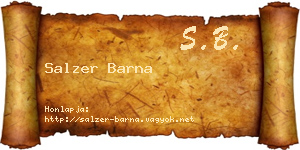Salzer Barna névjegykártya